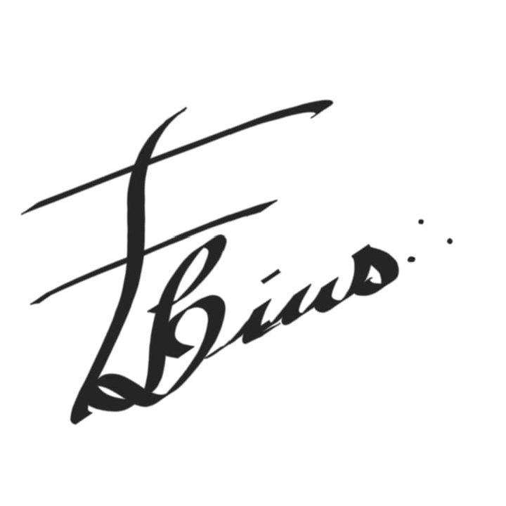 FLins Logo